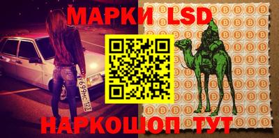 ПСИЛОЦИБИНОВЫЕ ГРИБЫ Кулебаки