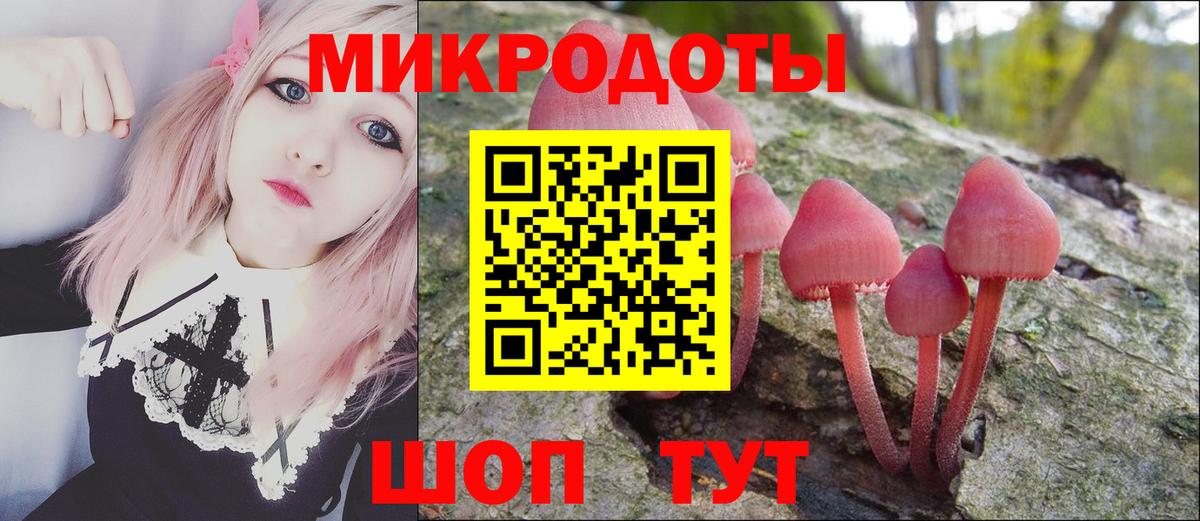 Псилоцибиновые грибы Magic Shrooms  Вход с VPN  Ковров  Галлюциногенные грибы Psilocybe 